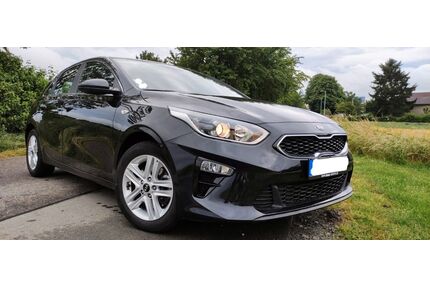 Kia ceed / Ceed Gebrauchtwagen