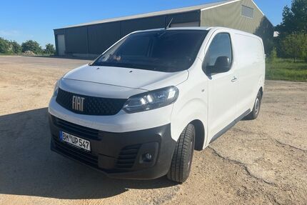 Fiat Scudo Gebrauchtwagen
