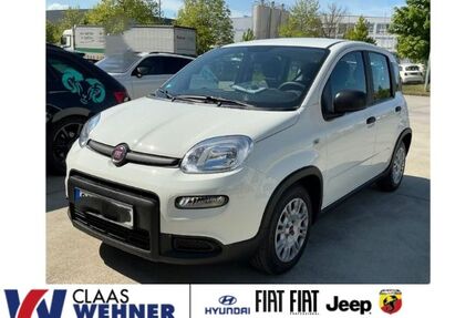 Fiat Panda Gebrauchtwagen