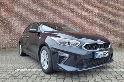 Kia ceed / Ceed Gebrauchtwagen