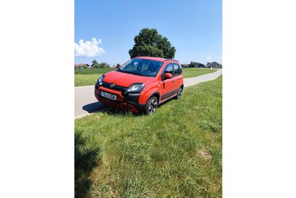 Fiat Panda Gebrauchtwagen