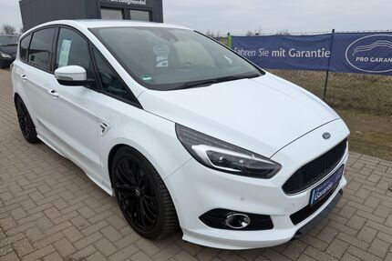Ford S-Max Gebrauchtwagen