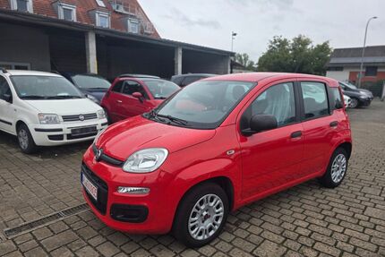 Fiat New Panda Gebrauchtwagen