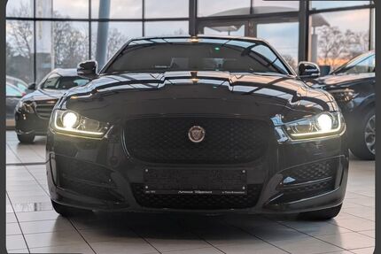 Jaguar XE Gebrauchtwagen