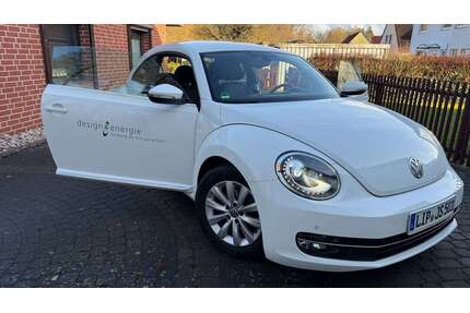 VW Beetle Gebrauchtwagen