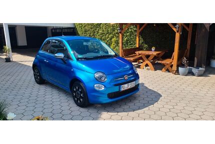 Fiat 500 Gebrauchtwagen