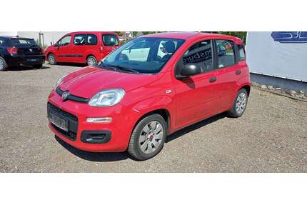 Fiat Panda Gebrauchtwagen