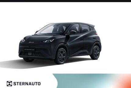 BYD DOLPHIN Gebrauchtwagen