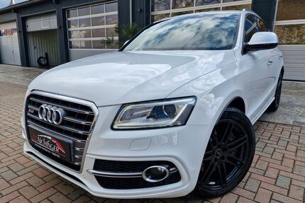 Audi SQ5 Gebrauchtwagen