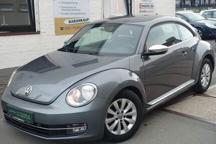 VW Beetle Gebrauchtwagen