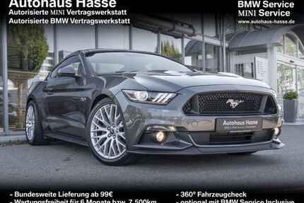 Ford Mustang Gebrauchtwagen