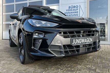 Cupra Terramar Gebrauchtwagen