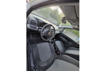 Fiat Punto Gebrauchtwagen