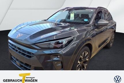 Cupra Terramar Gebrauchtwagen