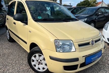 Fiat Panda Gebrauchtwagen