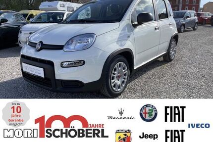 Fiat Panda Gebrauchtwagen