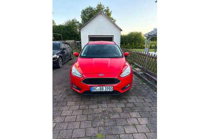 Ford Focus Gebrauchtwagen