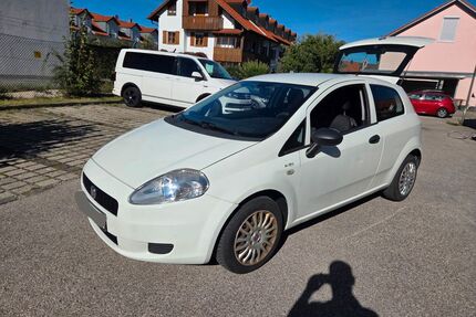 Fiat Punto Gebrauchtwagen