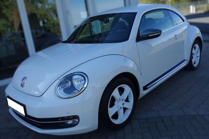 VW Beetle Gebrauchtwagen