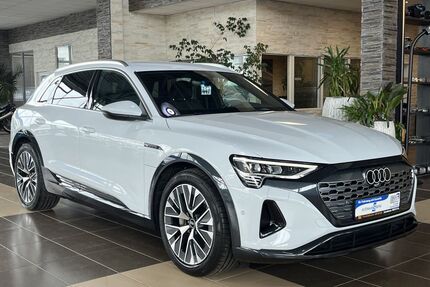 Audi Q8 e-tron Gebrauchtwagen