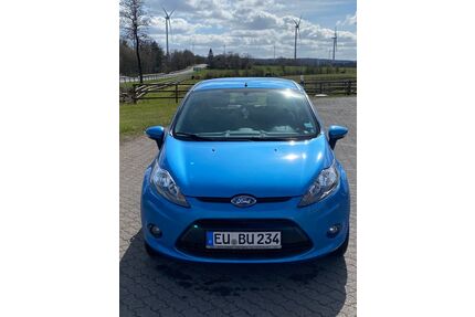 Ford Fiesta Gebrauchtwagen