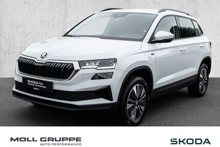 Skoda Karoq Gebrauchtwagen