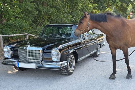 Mercedes-Benz 280 Gebrauchtwagen