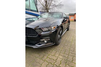Ford Mustang Gebrauchtwagen