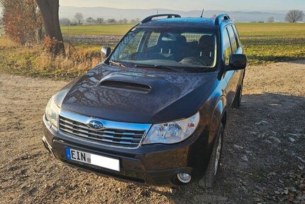 Subaru Forester Gebrauchtwagen