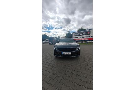 Dodge Charger Gebrauchtwagen