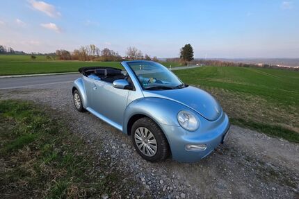 VW New Beetle Gebrauchtwagen