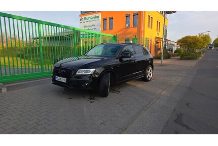 Audi Q5 Gebrauchtwagen