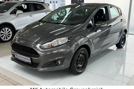 Ford Fiesta Gebrauchtwagen