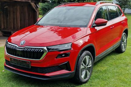 Skoda Karoq Gebrauchtwagen