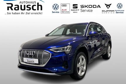 Audi e-tron Gebrauchtwagen