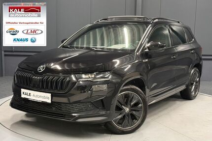 Skoda Karoq Gebrauchtwagen