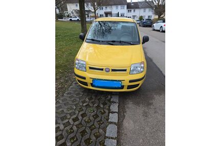 Fiat Panda Gebrauchtwagen