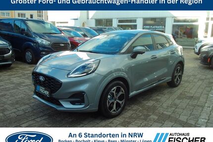 Ford Puma Gebrauchtwagen