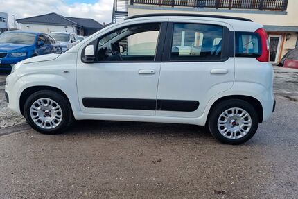Fiat Panda Gebrauchtwagen