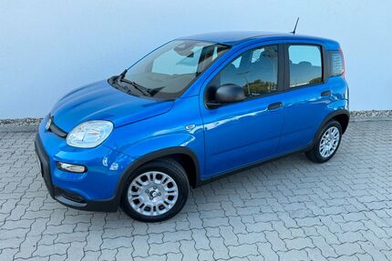 Fiat Panda Gebrauchtwagen
