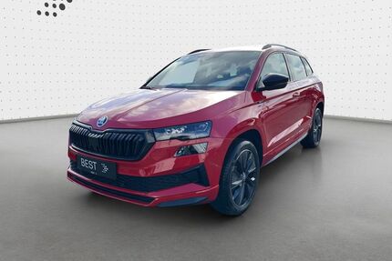 Skoda Karoq Gebrauchtwagen