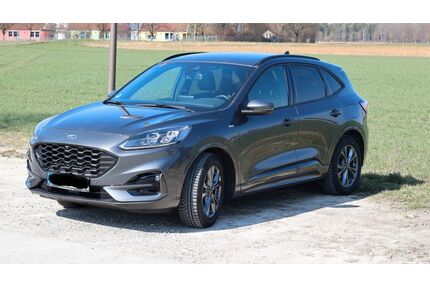 Ford Kuga Gebrauchtwagen
