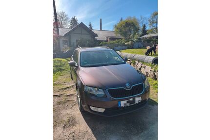 Skoda Octavia Gebrauchtwagen