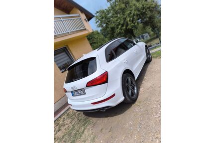 Audi Q5 Gebrauchtwagen
