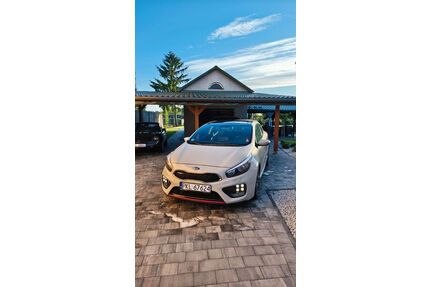 Kia pro ceed / ProCeed Gebrauchtwagen