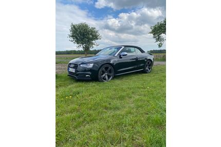 Audi S5 Gebrauchtwagen