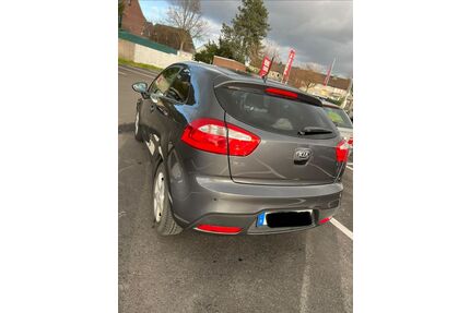 Kia Rio Gebrauchtwagen