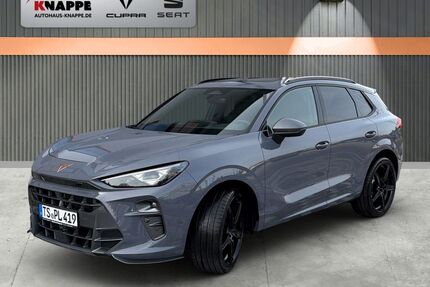 Cupra Terramar Gebrauchtwagen