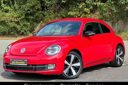 VW Beetle Gebrauchtwagen