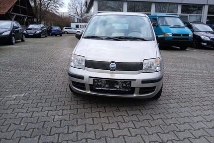 Fiat Panda Gebrauchtwagen